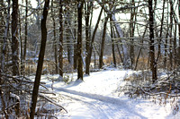 Winter in Minnesota 28-Dec-13